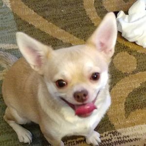 Meet your Posher, Stefanie